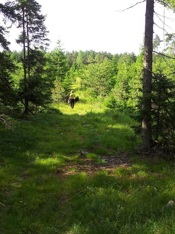 Männiste Holiday Home Hiievalja Zimmer foto